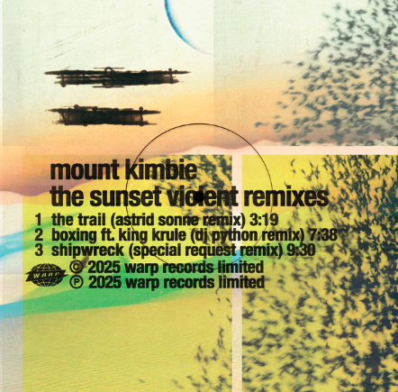 Shipwreck – Mount Kimbie (Special Request&nbsp;Remix)