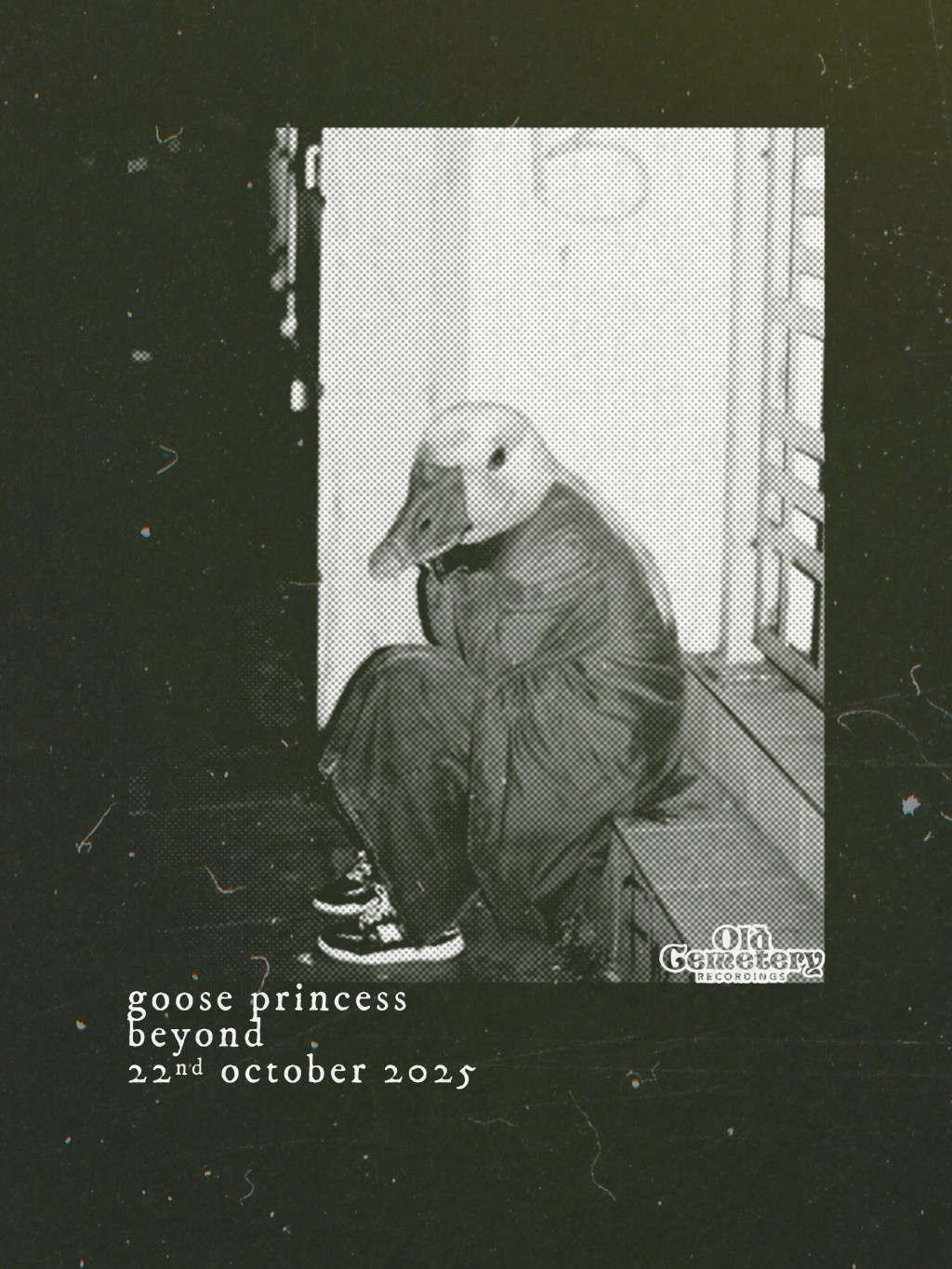 GOOSE PRINCESS TAKES US BEYOND THE&nbsp;DARKNESS